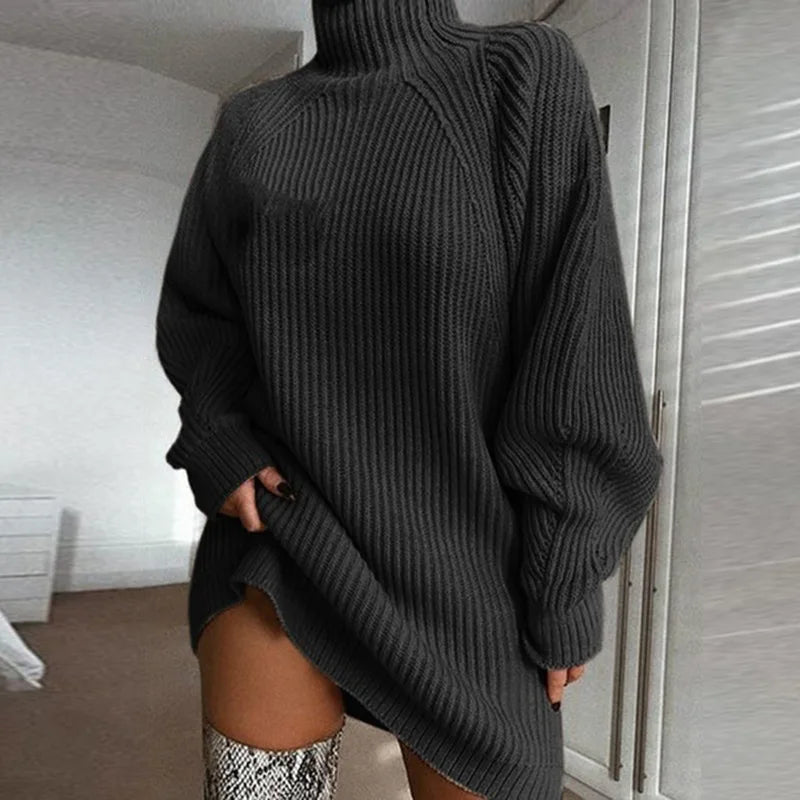 Elina  -  Long Turtle Neck Sweater