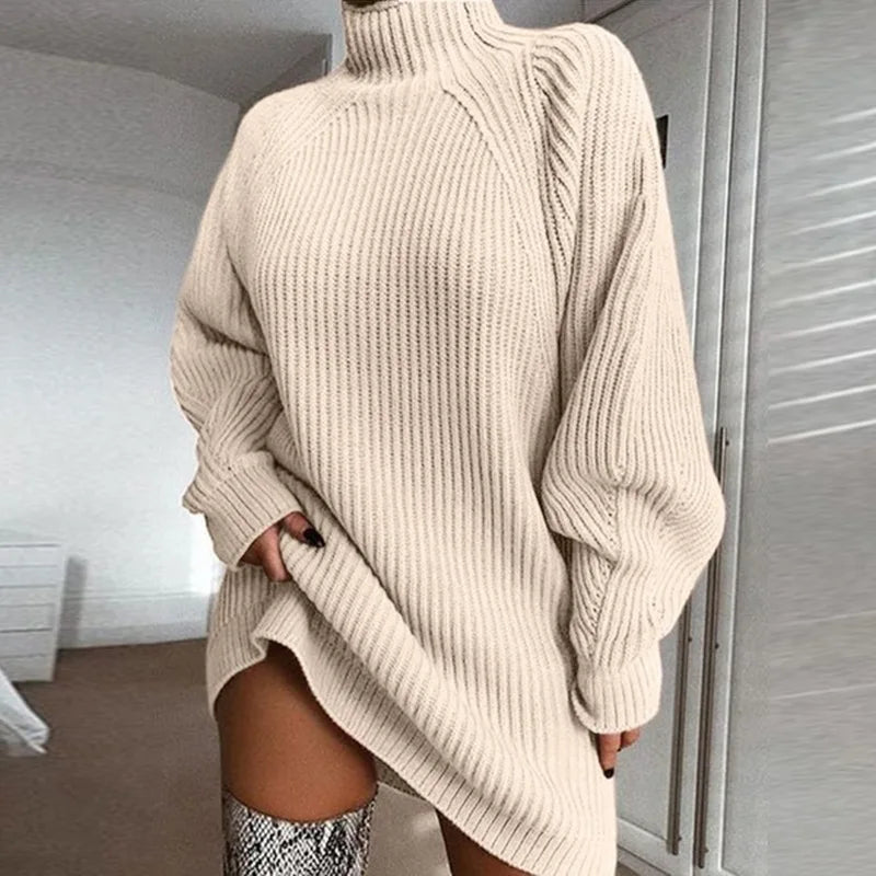Elina  -  Long Turtle Neck Sweater