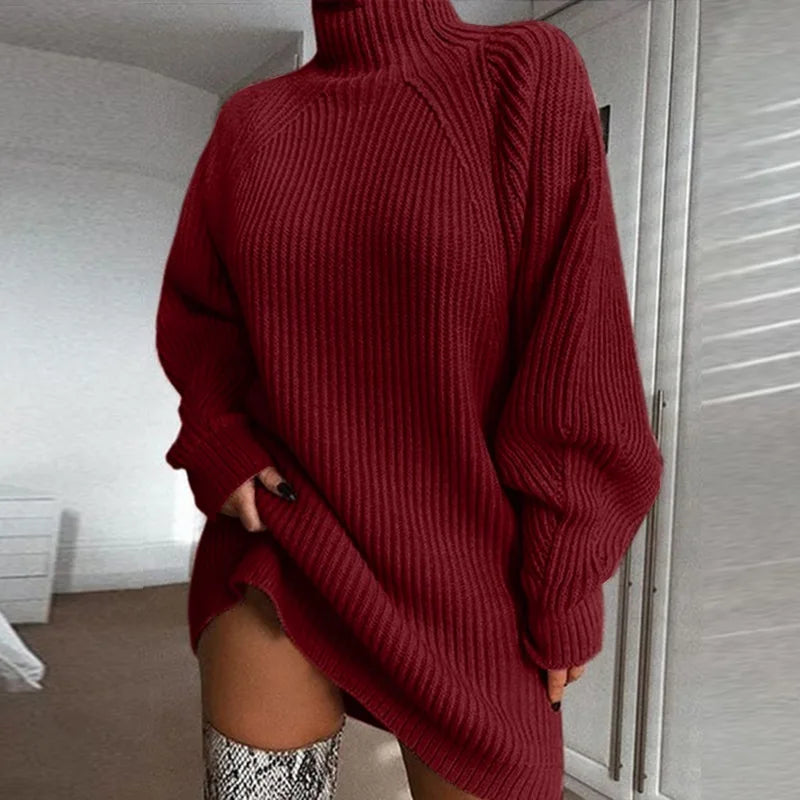 Elina  -  Long Turtle Neck Sweater
